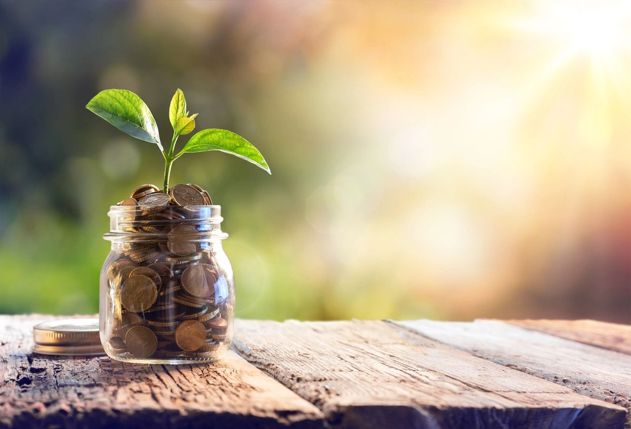 A jar filled with coins and a plant growing out of it.