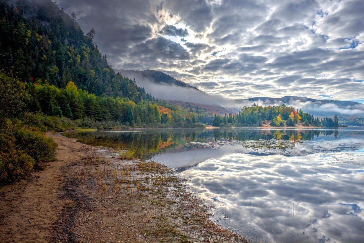 A body of water with trees and clouds in the sky.